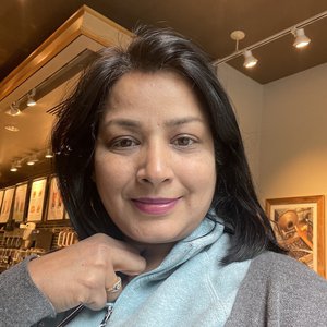 CS Lakshmi Mittal
